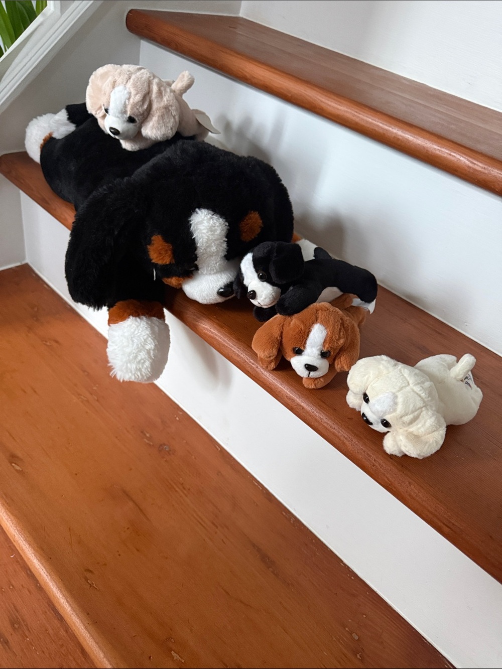 Plush Tri-Color Dog Toy - with Babies!